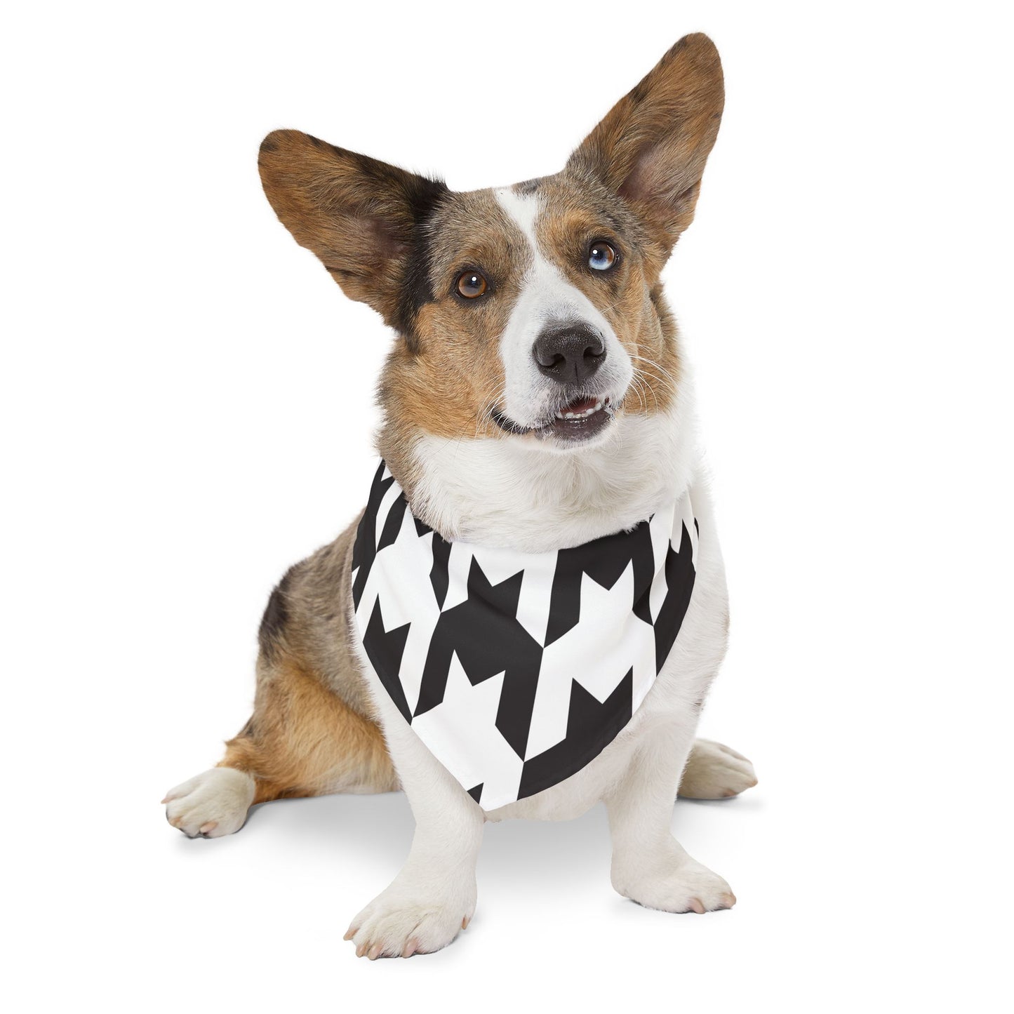 Pet Bandana Collar